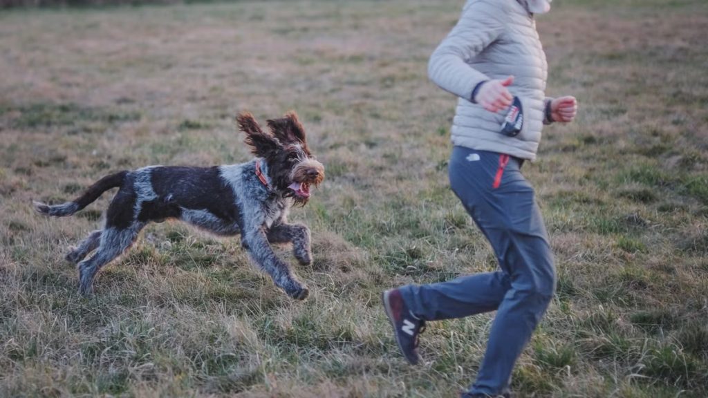 Woman running with a playful dog in an open field during daytime.
