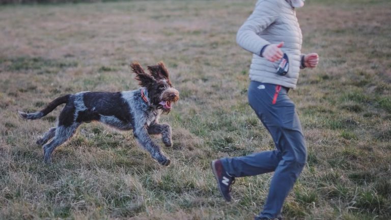 Woman running with a playful dog in an open field during daytime.